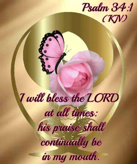 Psalm 34:1 Pink butterfly on Pink Rose