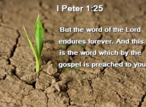Bible Verse 1 Peter 1:25