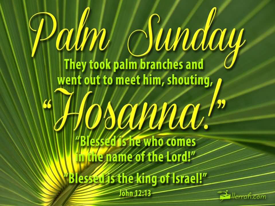 Palm Sunday - John 12:13